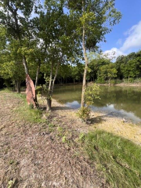 311 Mossy Point, Waxahachie TX 75167 - Photo 39