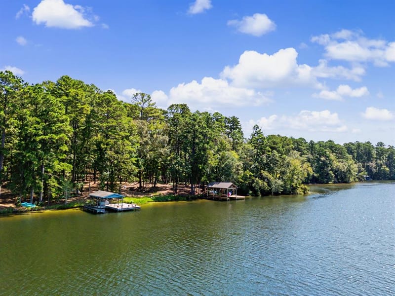 195 Brazos Bend, Holly Lake Ranch TX 75765 - Photo 6