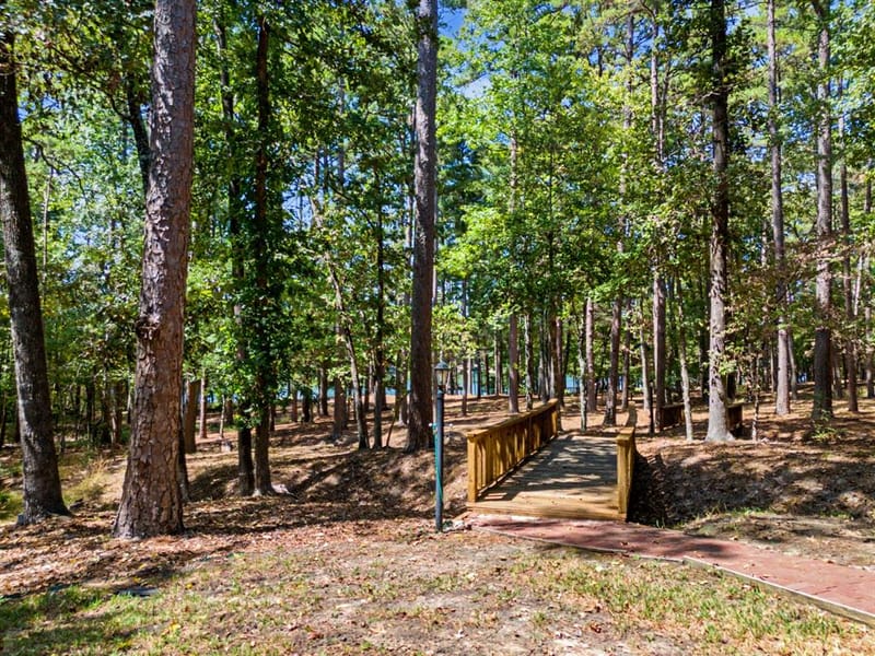195 Brazos Bend, Holly Lake Ranch TX 75765 - Photo 9