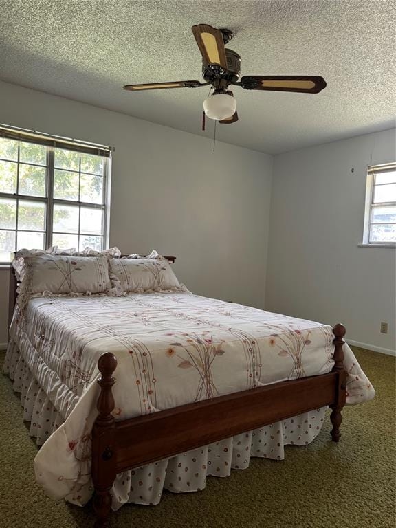 4407 Mcarthur Circle, Brownwood TX 76801 - Photo 31