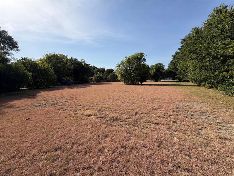 804 Preston Road, Red Oak TX 75154 - Photo 6