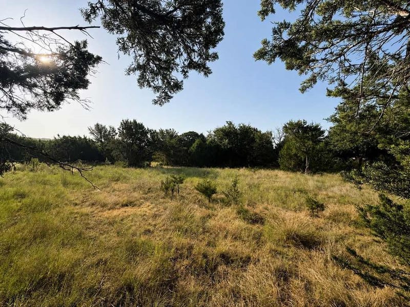 1098 Winter Road, Gatesville TX 76528 - Photo 26