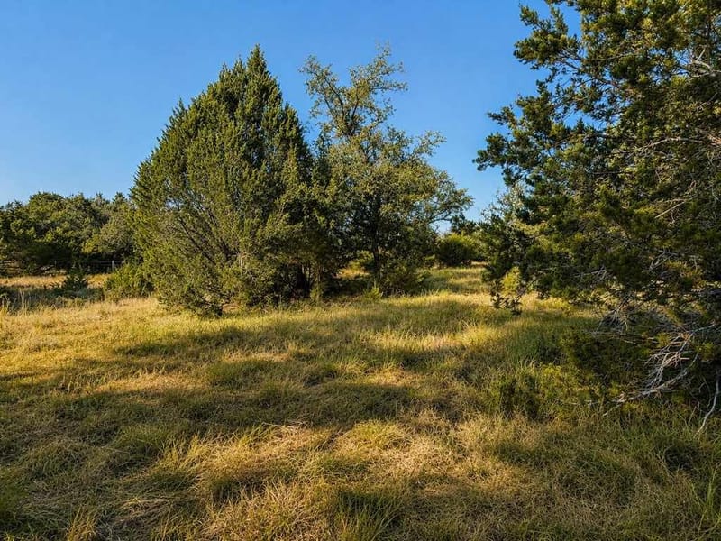 1098 Winter Road, Gatesville TX 76528 - Photo 22