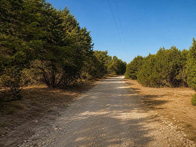 1098 Winter Road, Gatesville TX 76528 - Photo 24