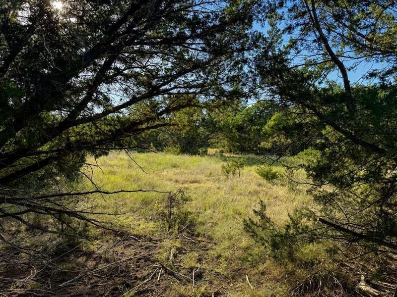1098 Winter Road, Gatesville TX 76528 - Photo 30