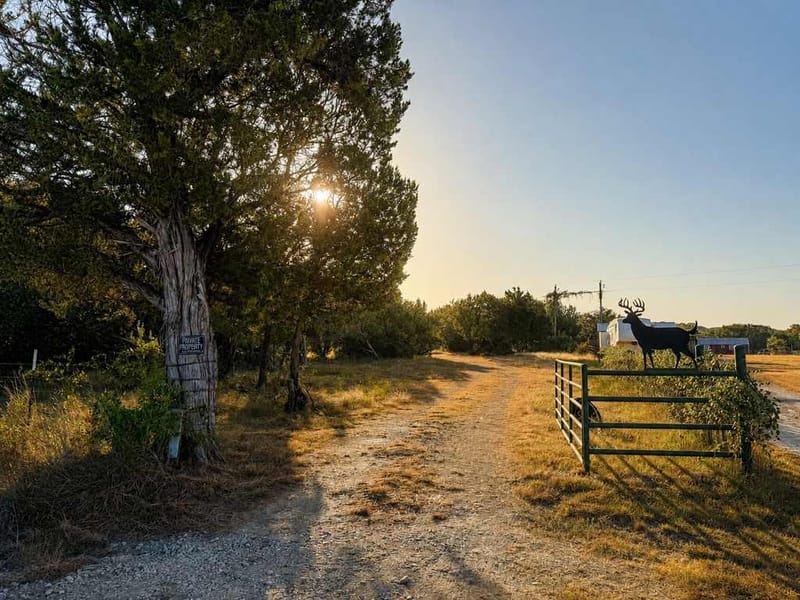 1098 Winter Road, Gatesville TX 76528 - Photo 19