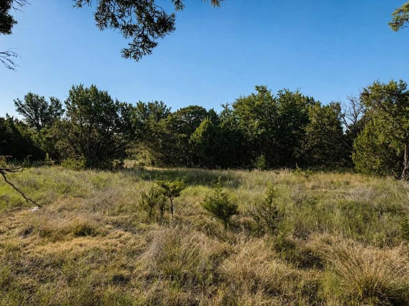 1098 Winter Road, Gatesville TX 76528 - Photo 29