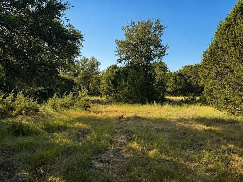 1098 Winter Road, Gatesville TX 76528 - Photo 8