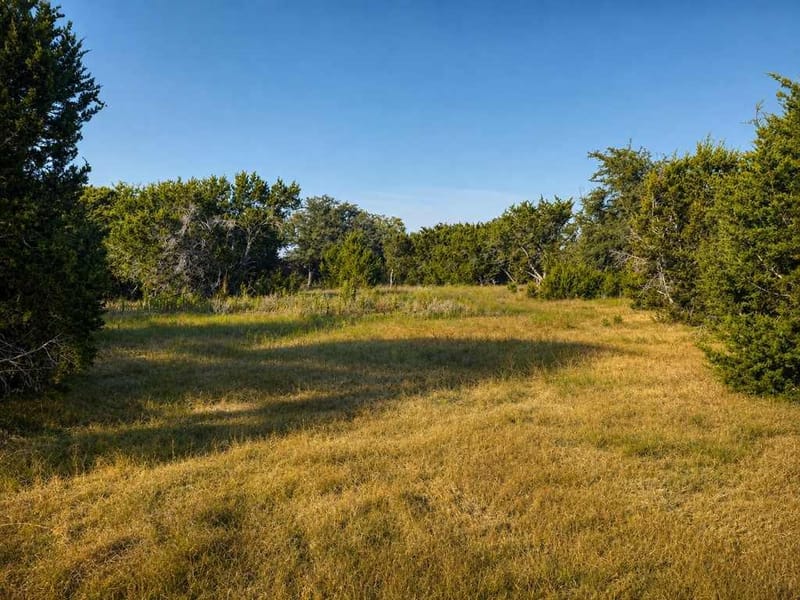 1098 Winter Road, Gatesville TX 76528 - Photo 21
