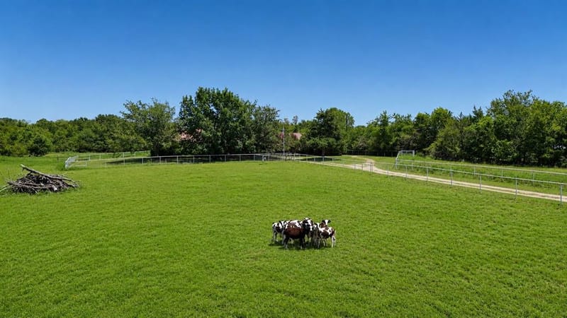 2287 Fm 549, Rockwall TX 75032 - Photo 21