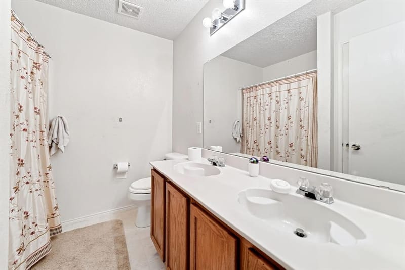4209 boxwood Drive, Balch Springs TX 75180 - Photo 13