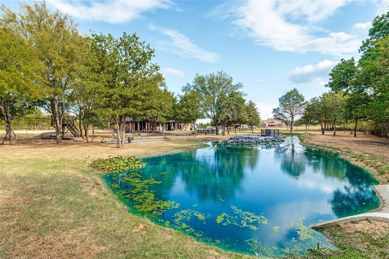 4291 Indian Paint Trail, Aubrey TX 76227 - Photo 29