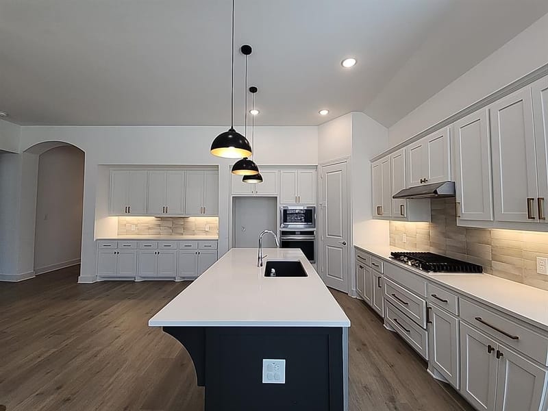 1149 Superbloom Avenue, Justin TX 76247 - Photo 6