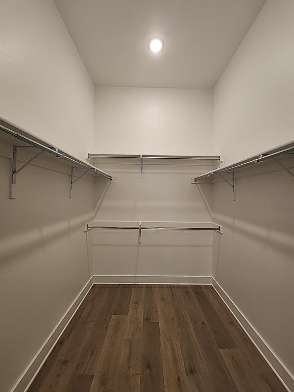 1149 Superbloom Avenue, Justin TX 76247 - Photo 16