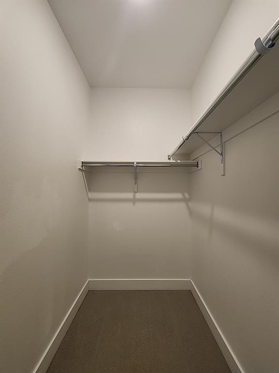 1149 Superbloom Avenue, Justin TX 76247 - Photo 20