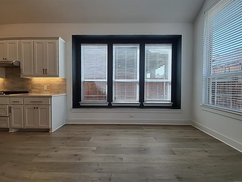 1149 Superbloom Avenue, Justin TX 76247 - Photo 9