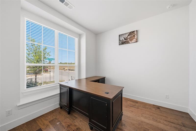1060 Water Canna Drive, Justin TX 76247 - Photo 17