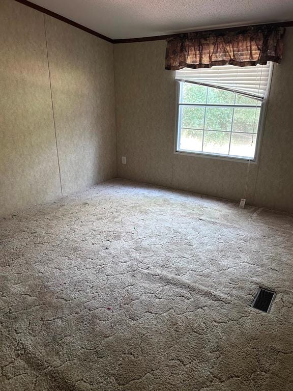 312 Dogwood Drive, Doyline LA 71023 - Photo 12