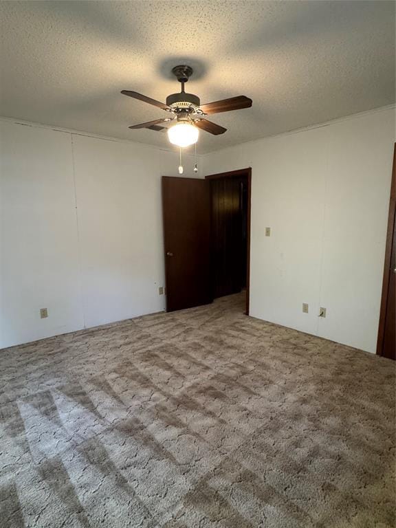 314 Hall Street, Whitesboro TX 76273 - Photo 10
