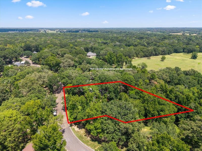 106 Lively Avenue, Mount Pleasant TX 75455 - Photo 27