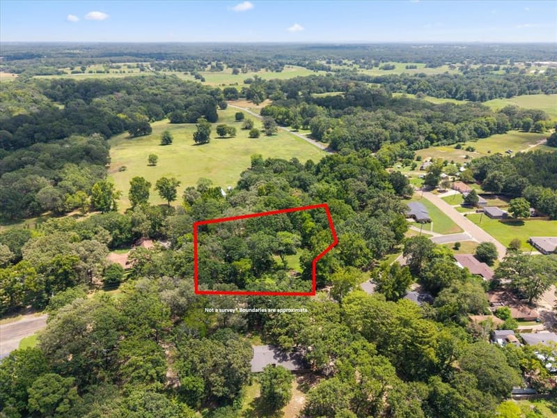 106 Lively Avenue, Mount Pleasant TX 75455 - Photo 28