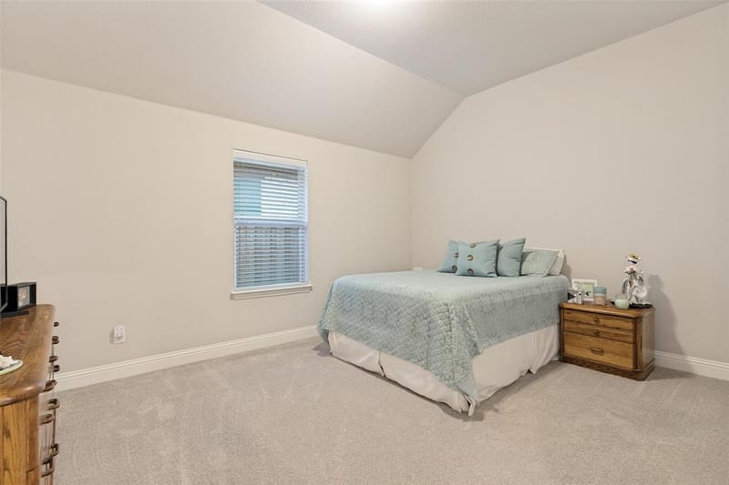 509 Lake Livingston Trail, McKinney TX 75071 - Photo 19