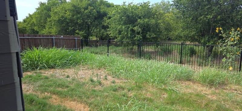 16629 White Fish Lane, Justin TX 76247 - Photo 31