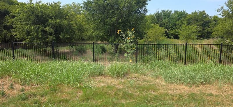 16629 White Fish Lane, Justin TX 76247 - Photo 29