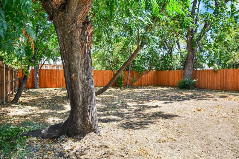 3818 Penelope Street, Dallas TX 75210 - Photo 39