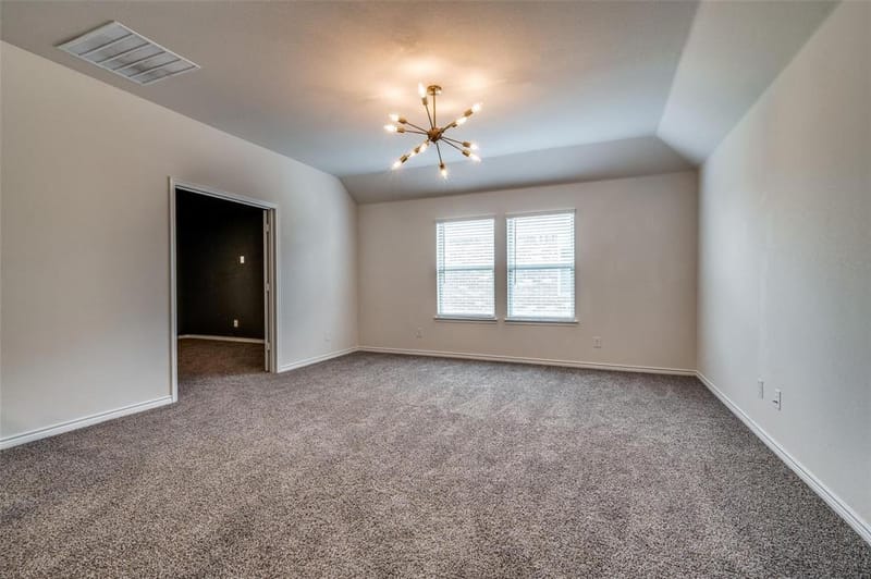 13405 Arvelo Drive, Little Elm TX 75068 - Photo 19