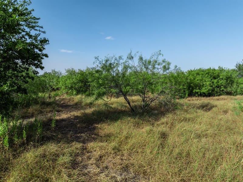 205 Rabbit Run, Woodway TX 76712 - Photo 6