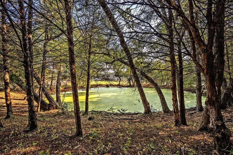 2004 Flowing Wells Road, Pottsboro TX 75076 - Photo 37