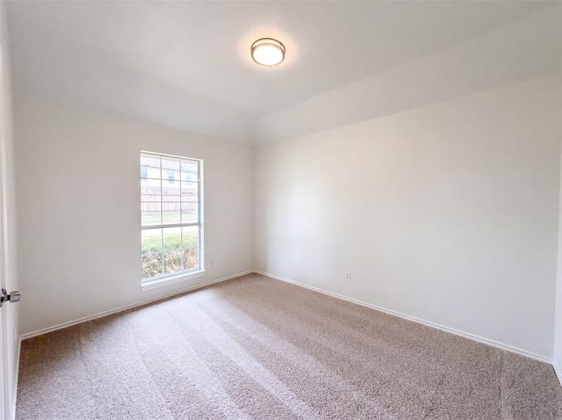 1406 Di Orio Drive, Lewisville TX 75067 - Photo 17