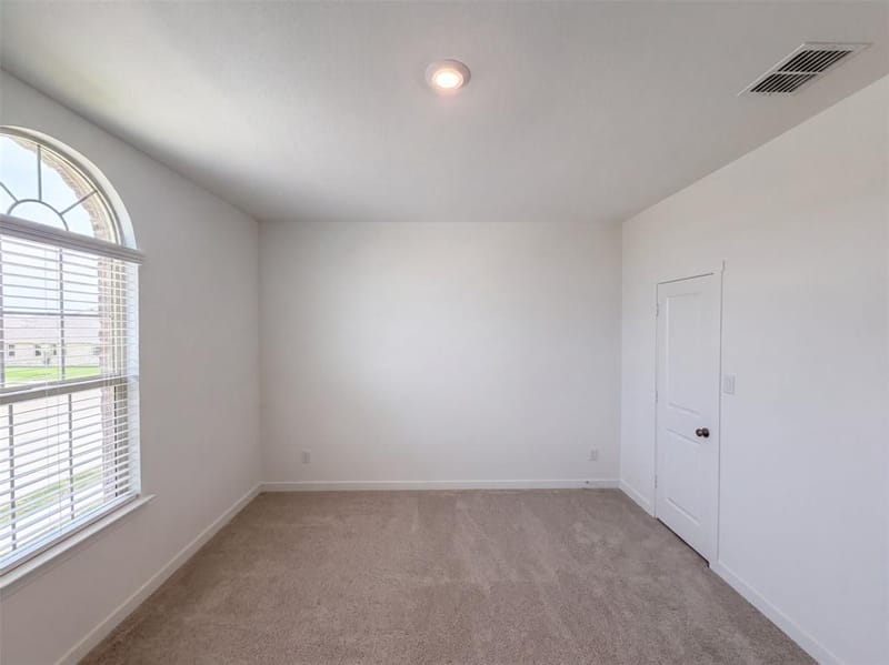 201 Loving Trail, Justin TX 76247 - Photo 26