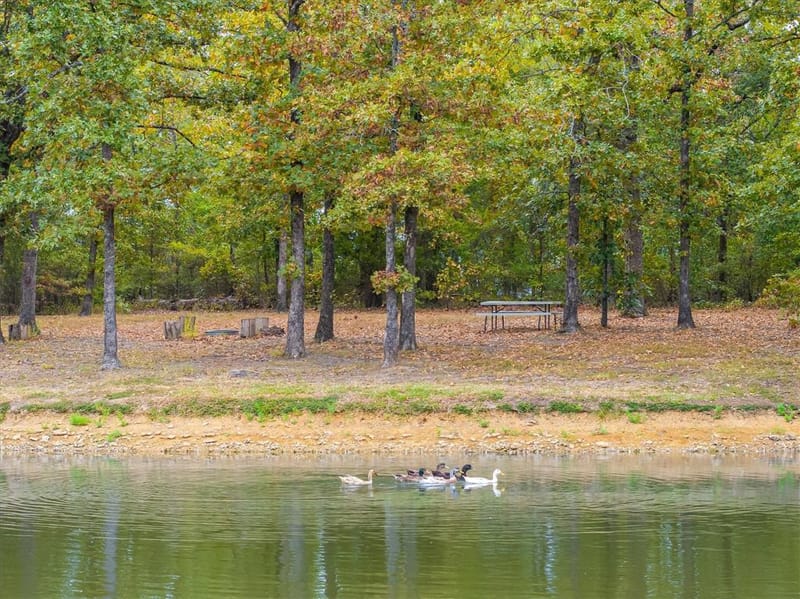 407 VZ County Road 1711, Grand Saline TX 75140 - Photo 36