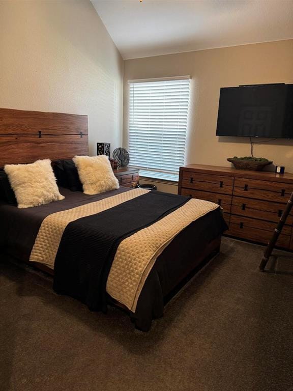 3103 Green Hollow Court, Highland Village TX 75077 - Photo 21