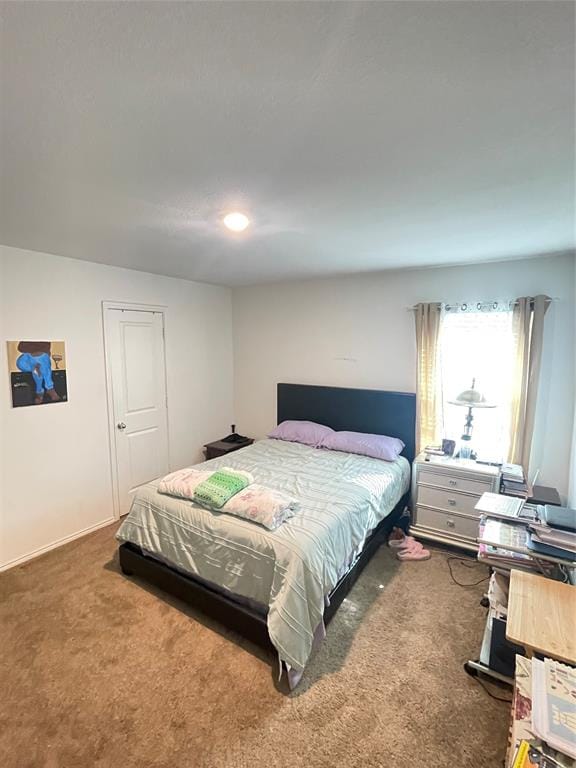 2925 Bronte Boulevard, Heartland TX 75126 - Photo 13