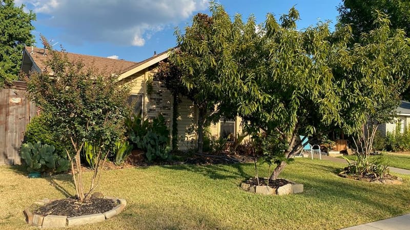 5701 Magnolia Lane, Rowlett TX 75089 - Photo 2