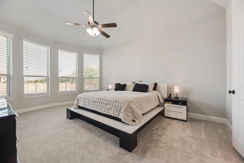 3815 Alleyton Way, Celina TX 75009 - Photo 12