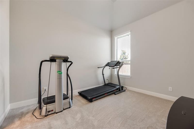 3815 Alleyton Way, Celina TX 75009 - Photo 26