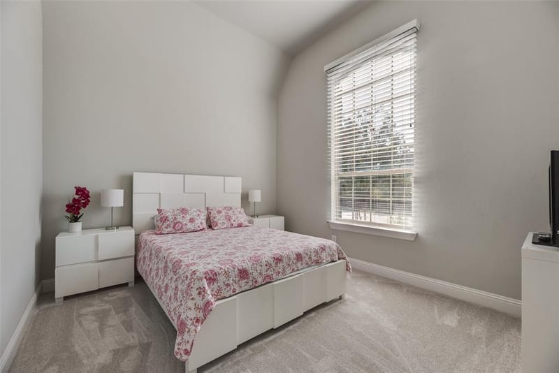 3815 Alleyton Way, Celina TX 75009 - Photo 18