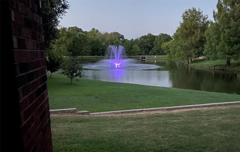 26 Lago Vista W, Wylie TX 75098 - Photo 39
