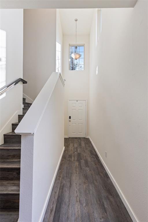2656 Jacobson Drive, Lewisville TX 75067 - Photo 4