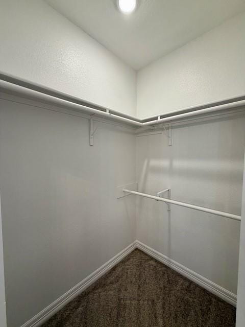 3903 Le Brooke Lane, Benton LA 71006 - Photo 16