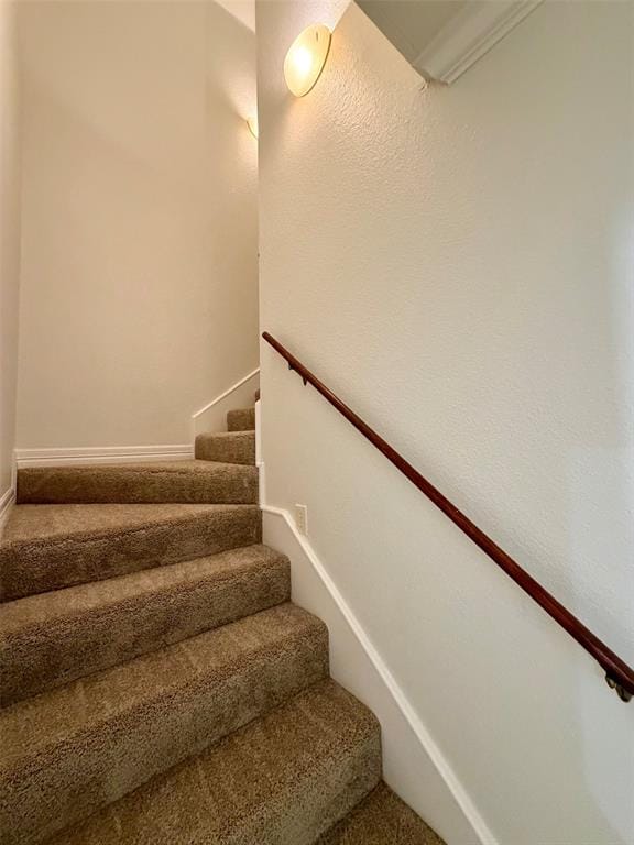 3903 Le Brooke Lane, Benton LA 71006 - Photo 24