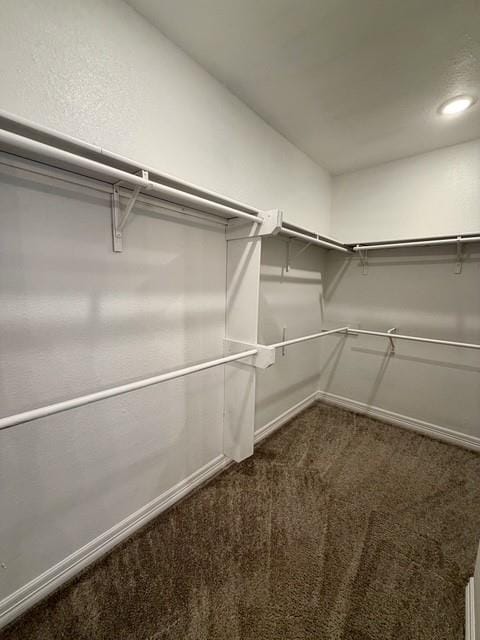 3903 Le Brooke Lane, Benton LA 71006 - Photo 14