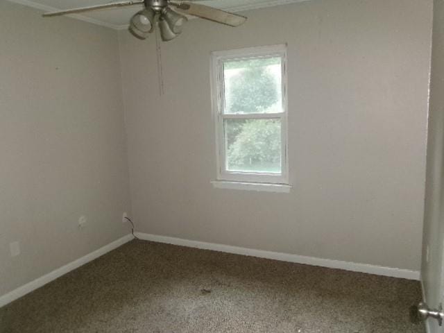 101 Pine Lake Drive, Haughton LA 71037 - Photo 13