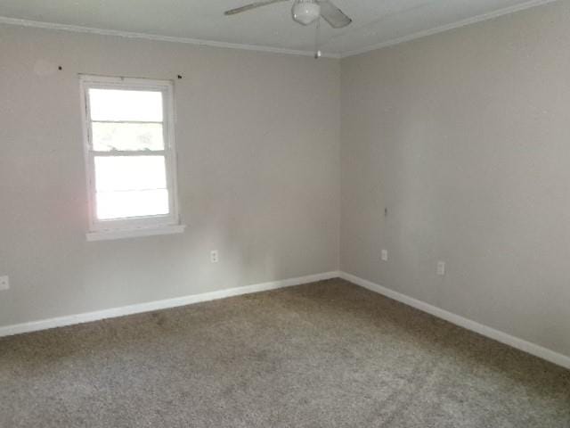 101 Pine Lake Drive, Haughton LA 71037 - Photo 12
