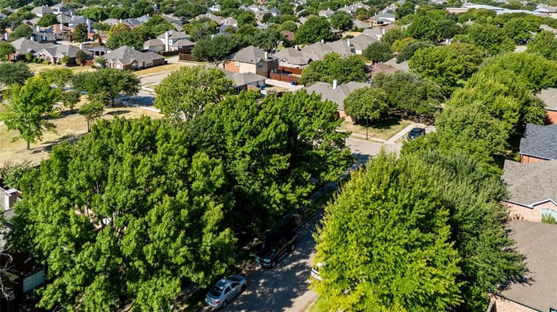 10209 Forrest Drive, Frisco TX 75035 - Photo 5