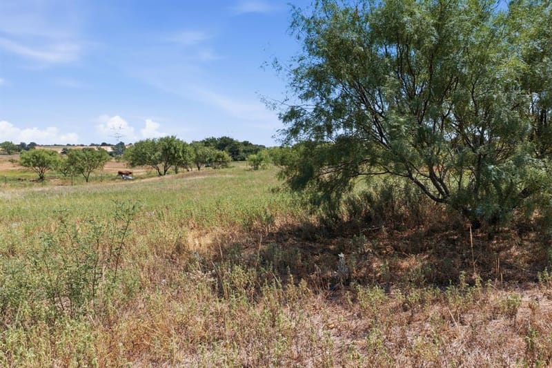 126 Common Way, Boyd TX 76023 - Photo 25